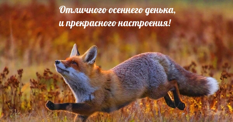   :     !