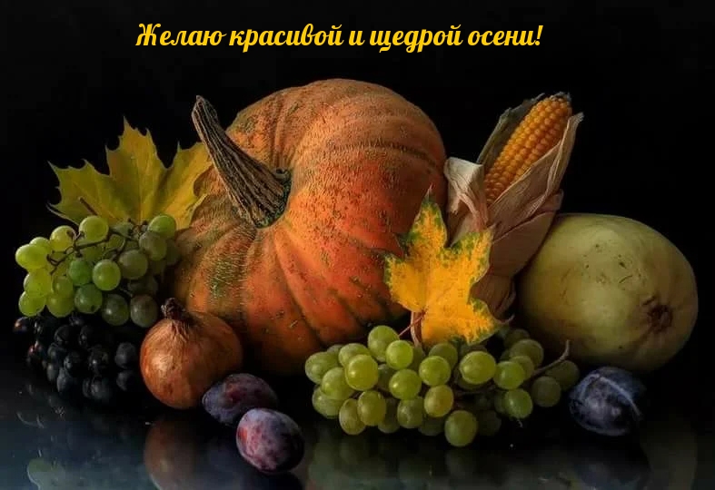     !