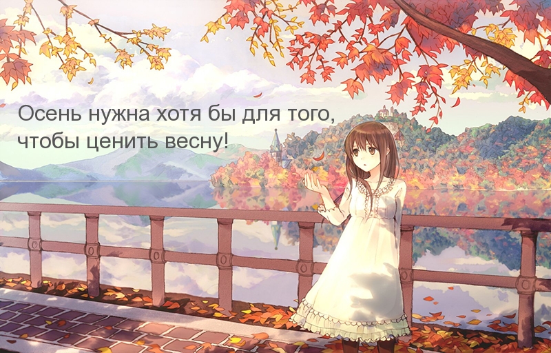   :  ,   )