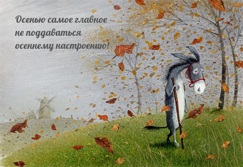 Не поддавайся осеннему настроению!
