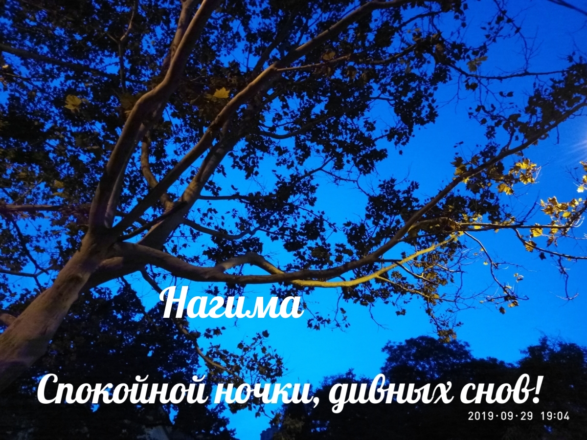 Нагима - спокойной ночки, дивных снов!