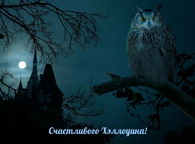 Счастливого Хэллоуина!
