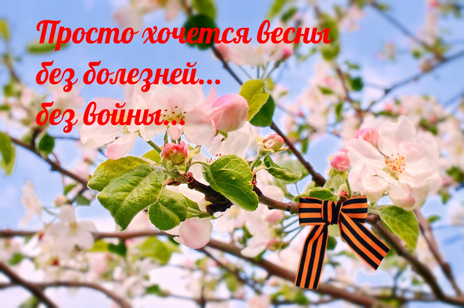   :   ,  ...  ...