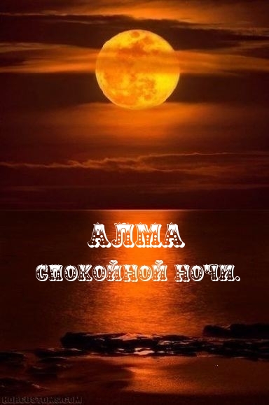 Алма, спокойной ночи!.