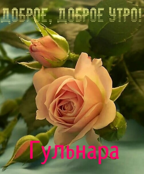   : ,  !