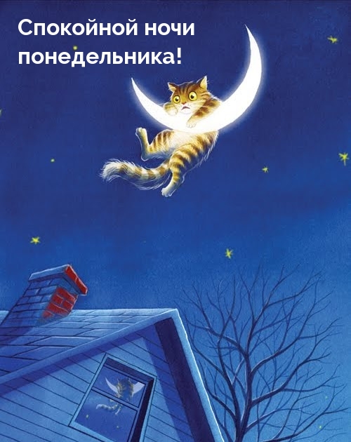   !.