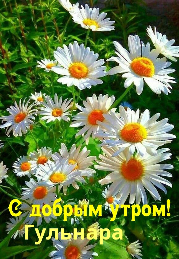 ,   !.