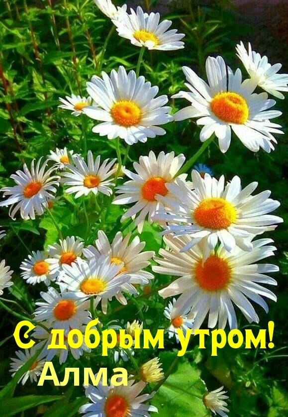,   !.