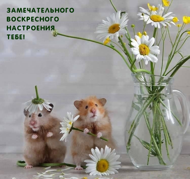   :    !