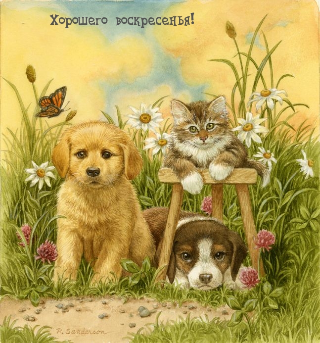   :  !