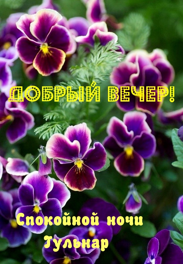  !  , ! .