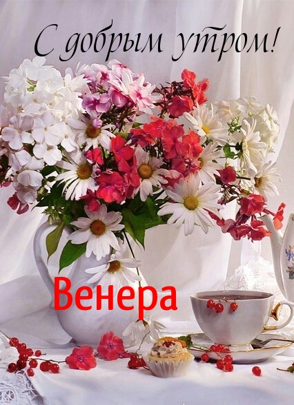 ,   !.