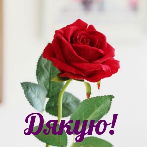  : !