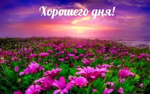 Хорошего дня!.
