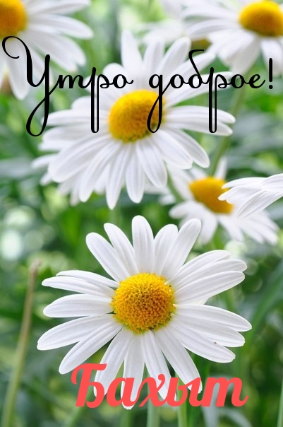 Бахыт, доброе утро!.