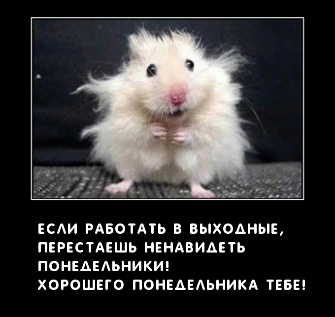   :    ,   !