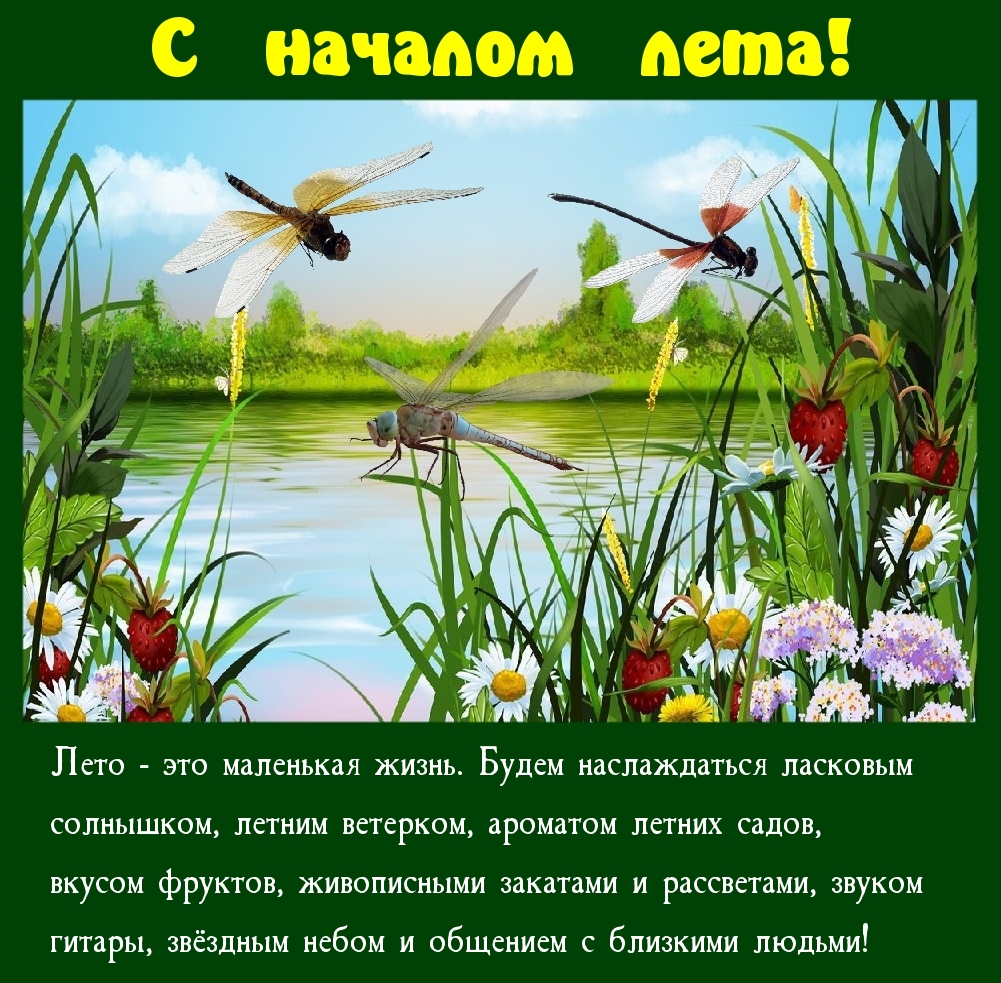 Красивые летние слова. Лето - это маленькая жизнь. А Лео это маленькая жизнь. Летно это маленькаяжизнь. Красивые цитаты о лете.