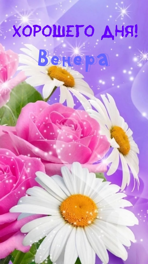 ,  !.