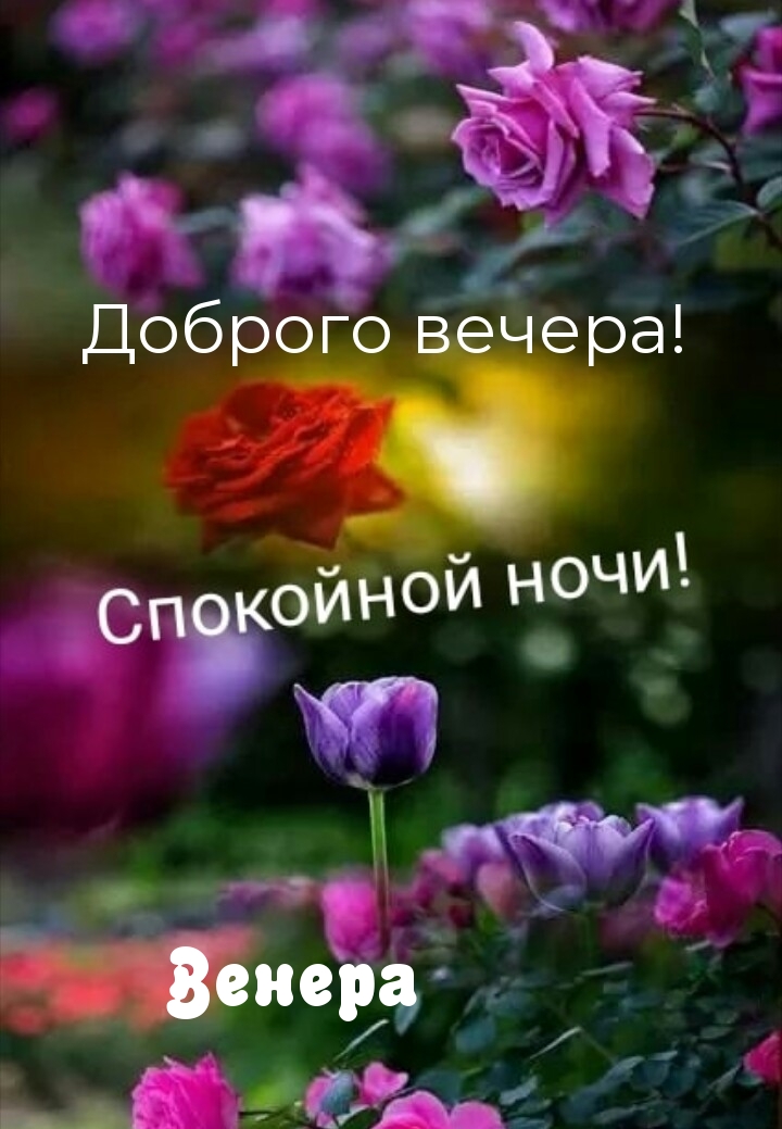 ,  !  !.
