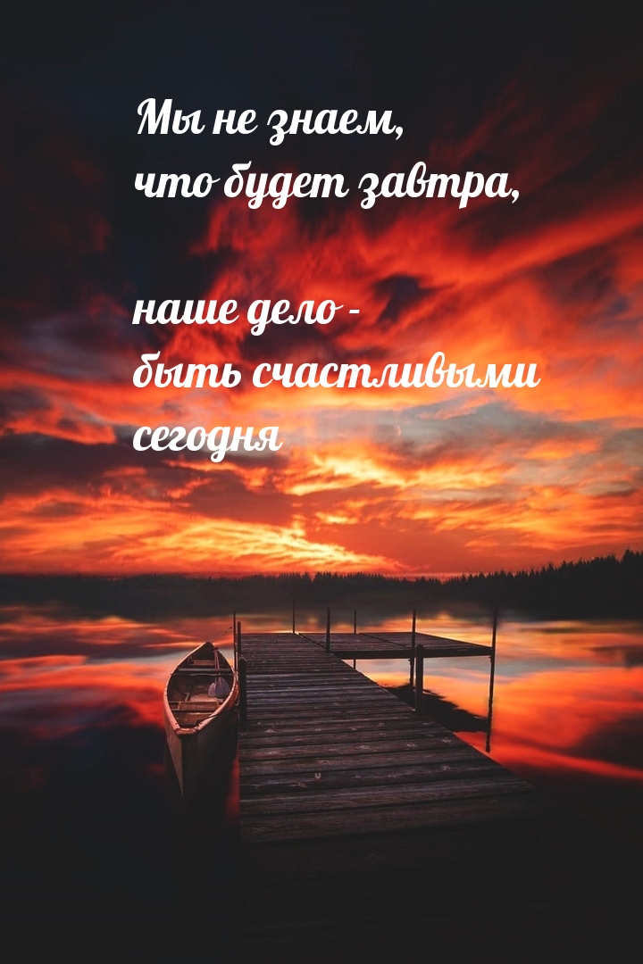   :   -    