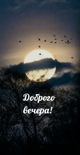  !.