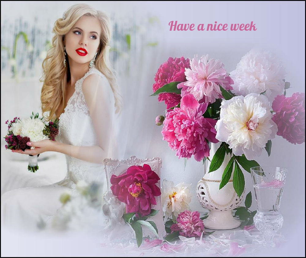   : Have a nice week