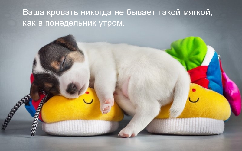   :   -   )