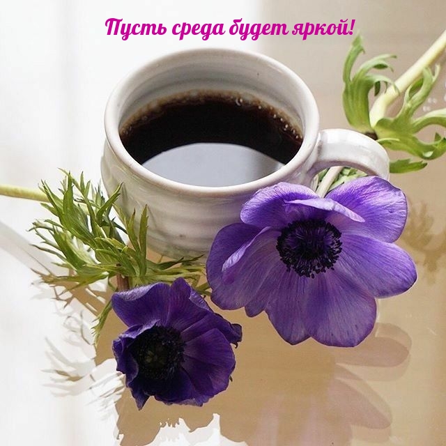   :    !