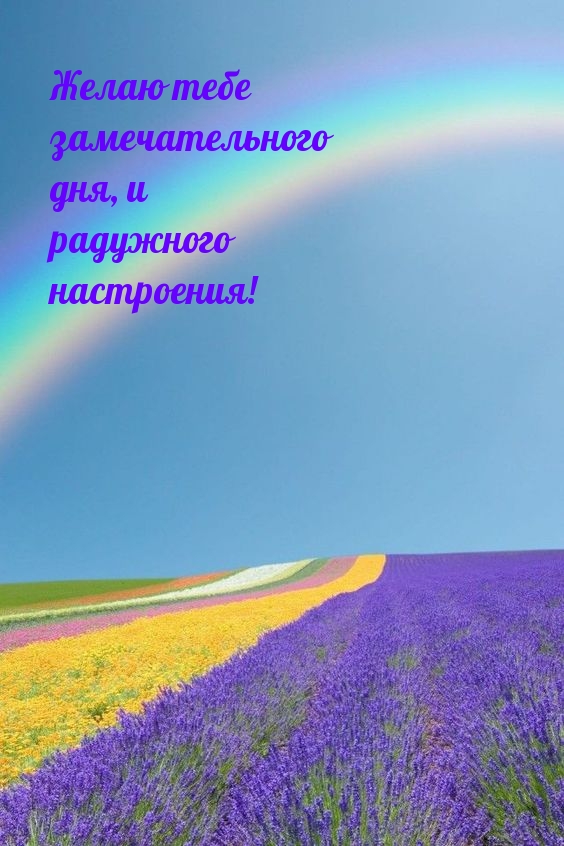  ,   !.