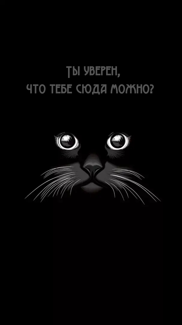  ,    ?.