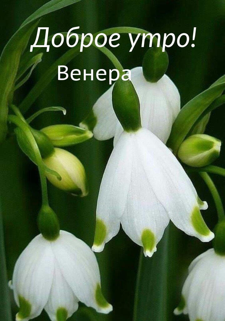   : ,  !
