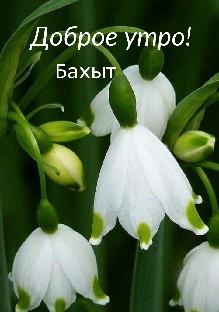 ,  !.