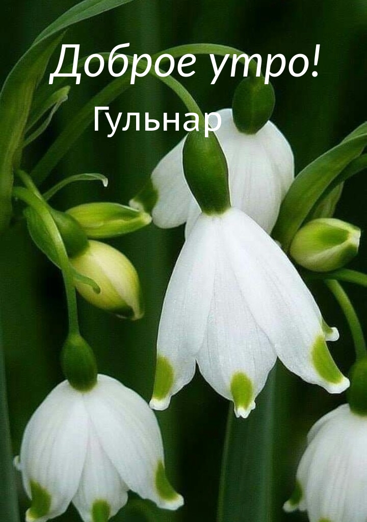 ,  !.