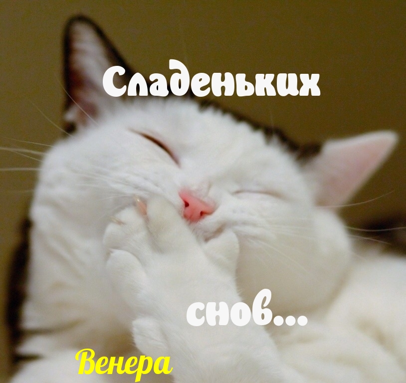 ,  !