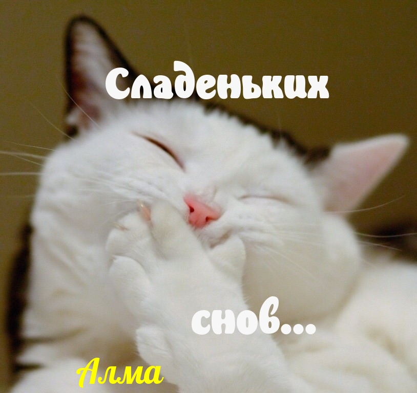 ,  !
