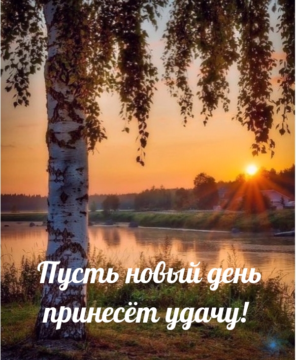   :     !