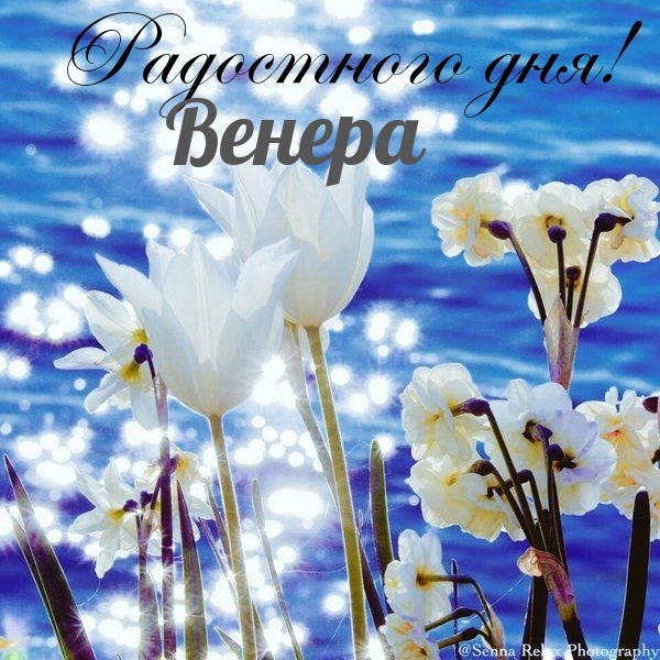 ,  !.