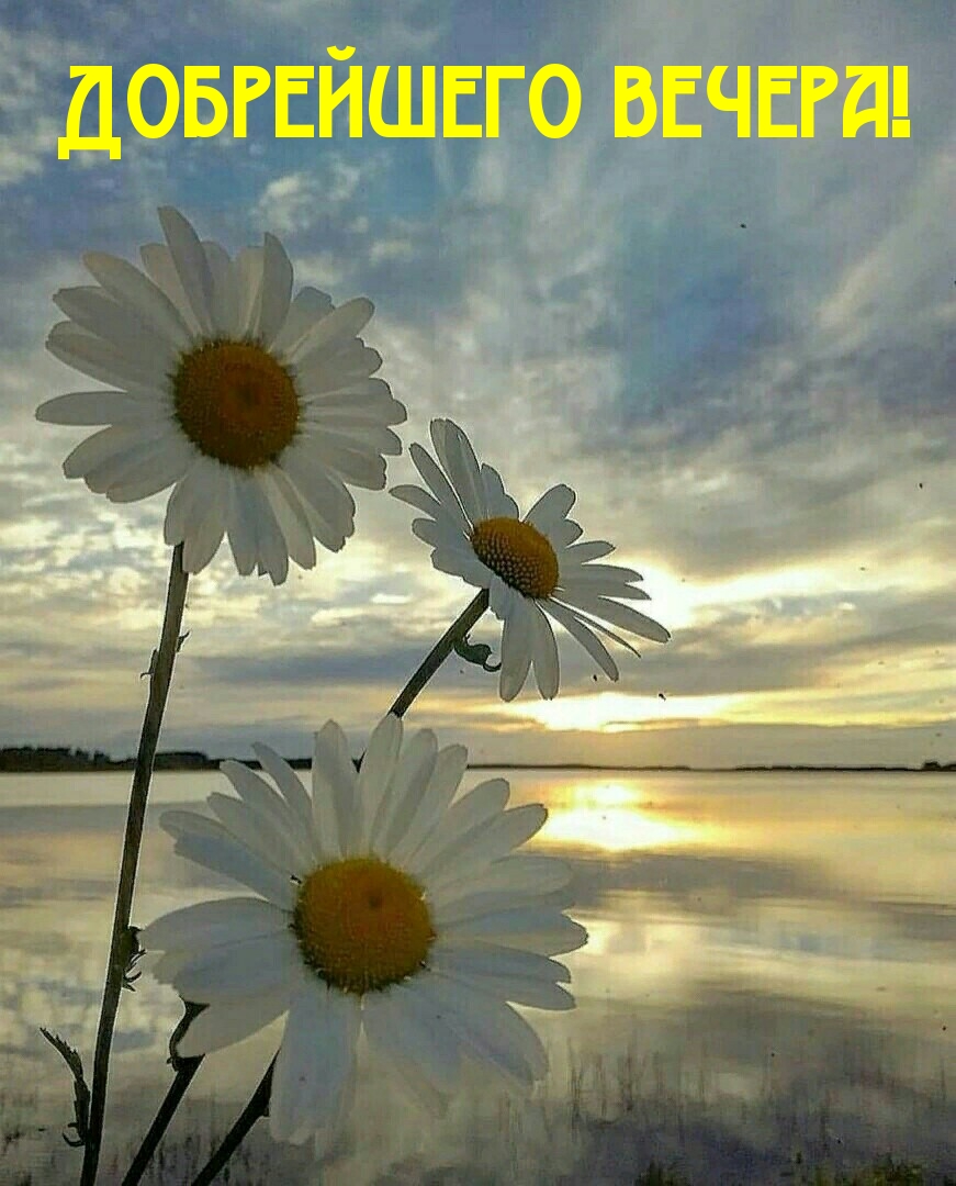 Добрейшего вечера!