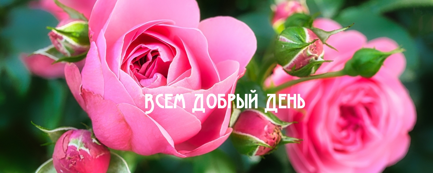 Всем Добрый День