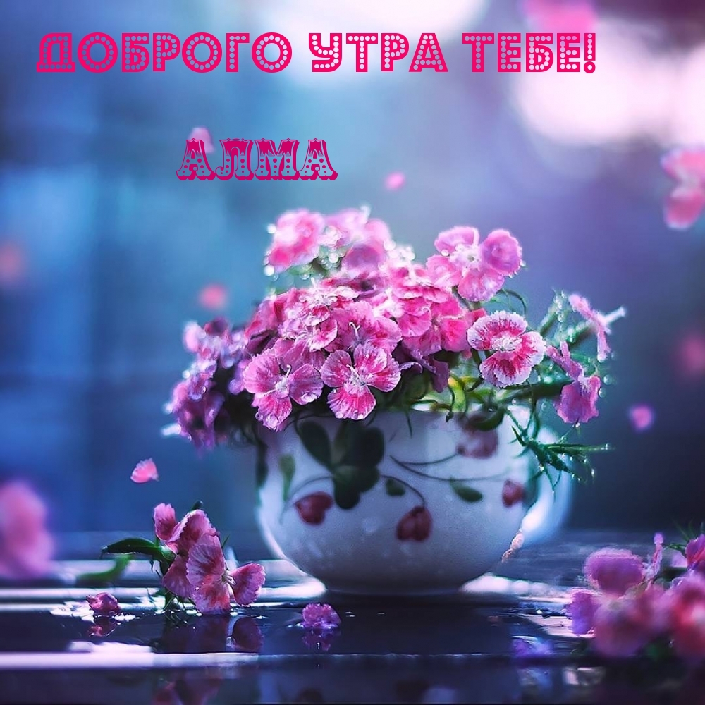 Алма, доброго утра тебе!