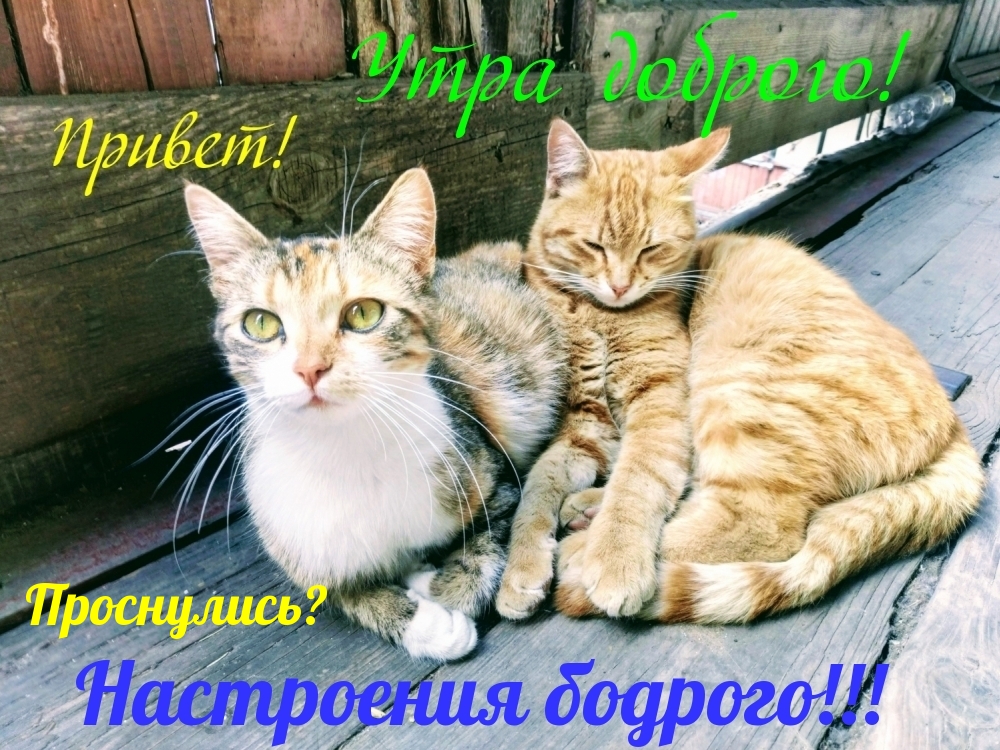 День просыпается