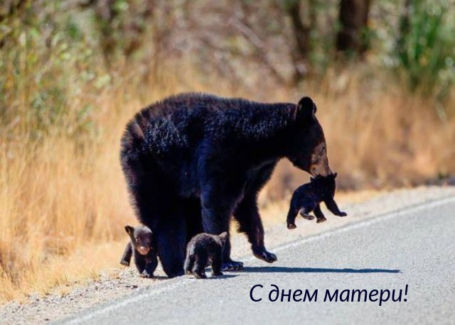 С днем матери!.