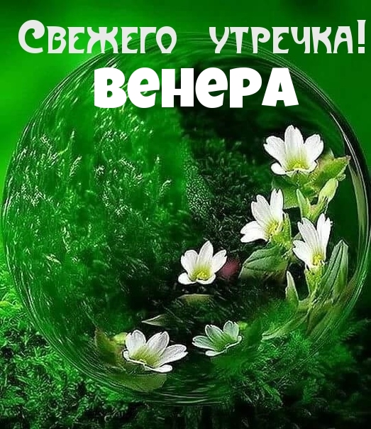 ,  !.
