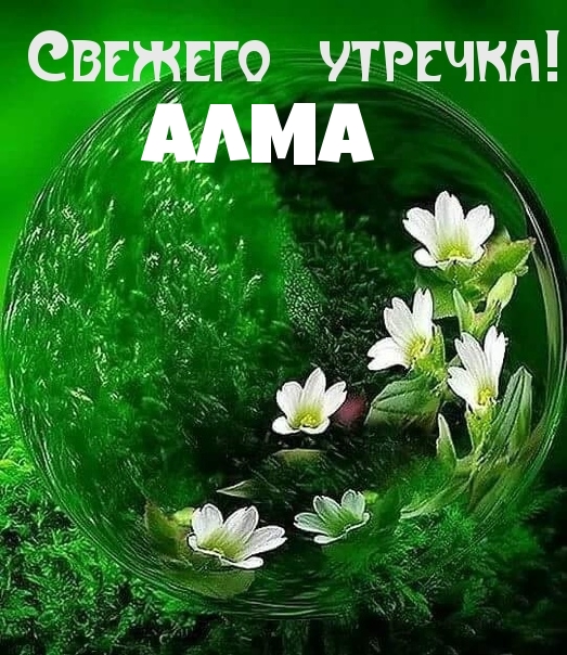 ,  !.