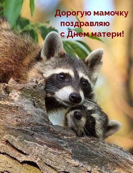   :      !