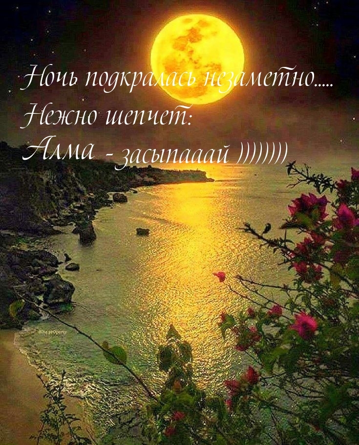   : ,   , )