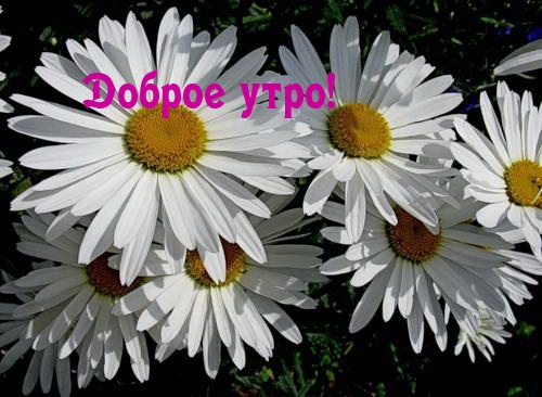  !.