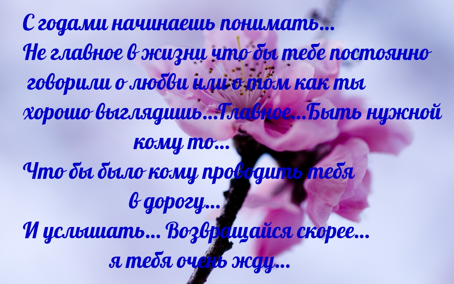   :    