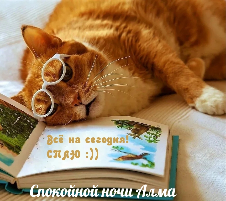   :   ,   , 