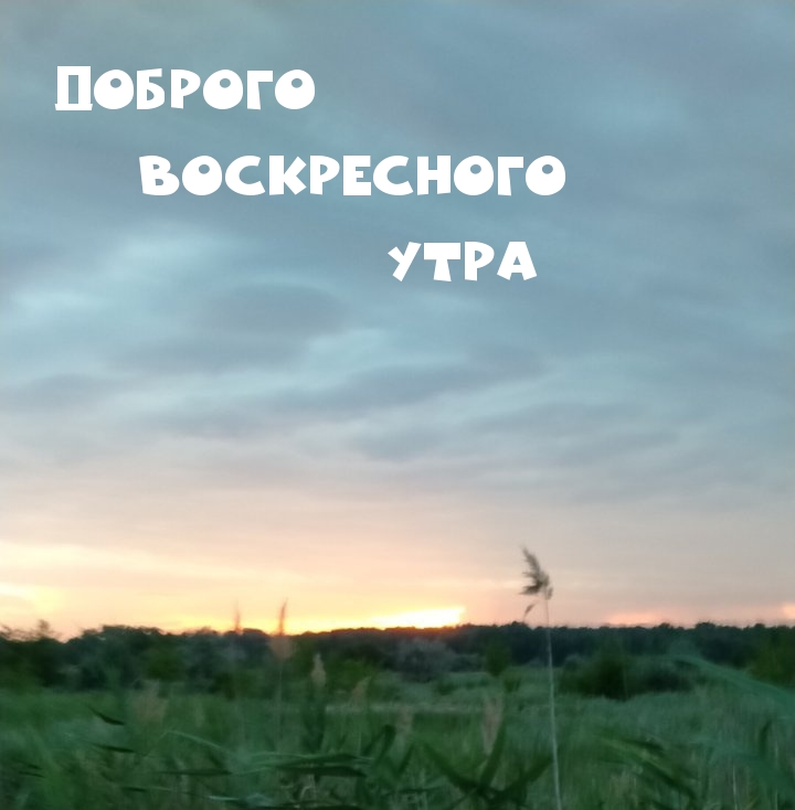 Доброго Воскресного Утра.